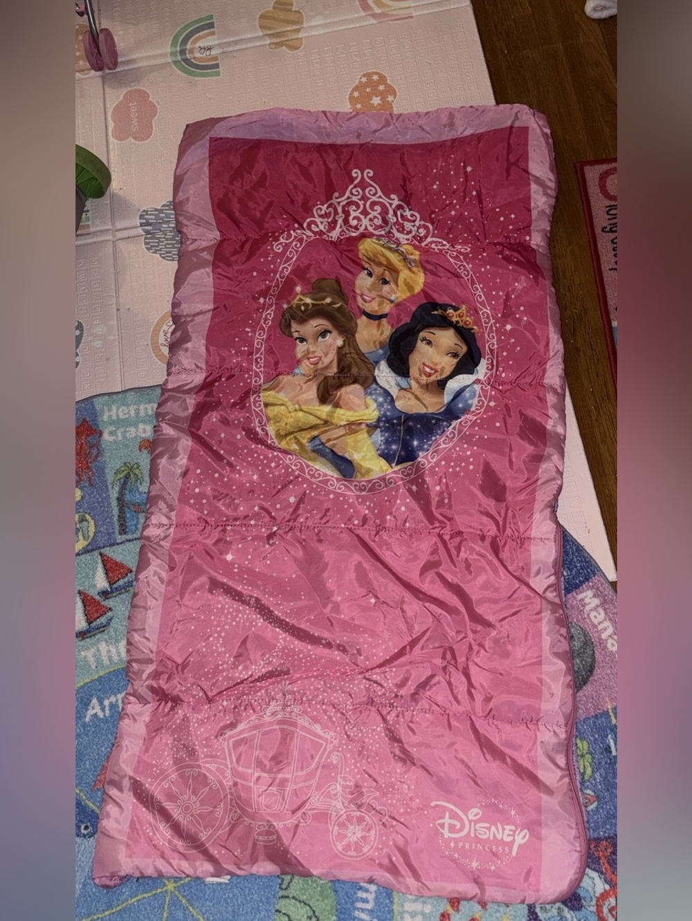 Disney Pink Princess zippered sleeping bag with princesses on it